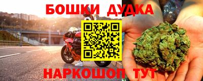 гидропоника Новодвинск