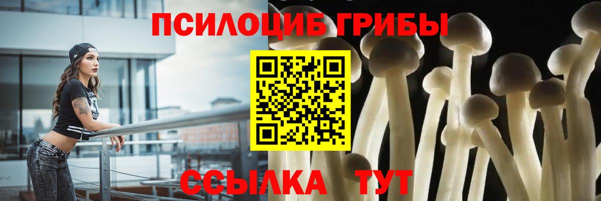 Галлюциногенные грибы MAGIC MUSHROOMS Саратов