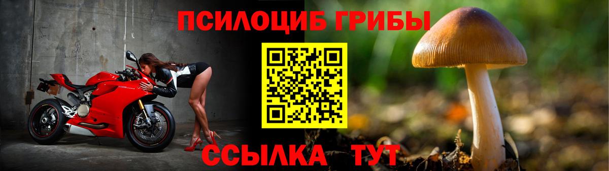 Псилоцибиновые грибы Psilocybe  Псилоцибиновые грибы ЛСД  продажа наркотиков  Саратов  Вход с VPN 